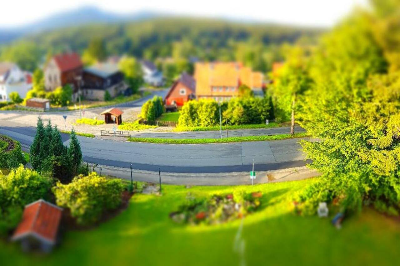 Villa Brockenhexe Braunlage Bagian luar foto